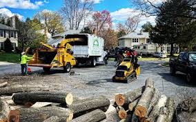 How Our Tree Care Process Works  in  Port Barrington, IL